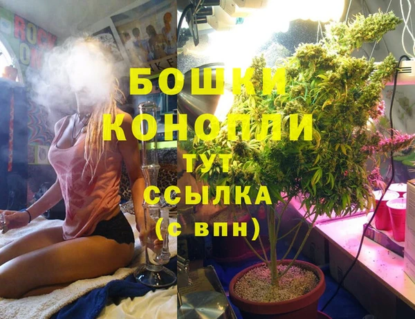 стафф Алексеевка