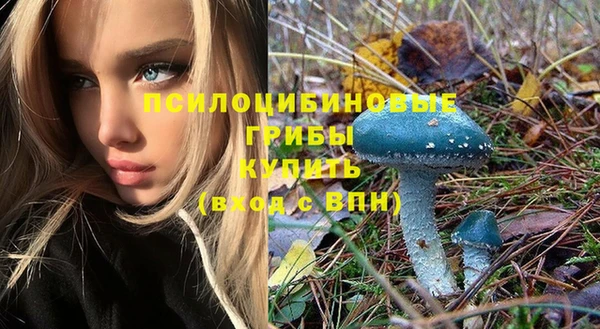 стафф Алексеевка