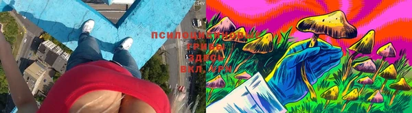 марки lsd Алексин