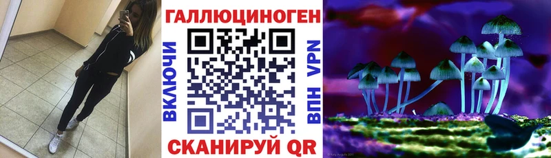 Галлюциногенные грибы Psilocybine cubensis  Тара 
